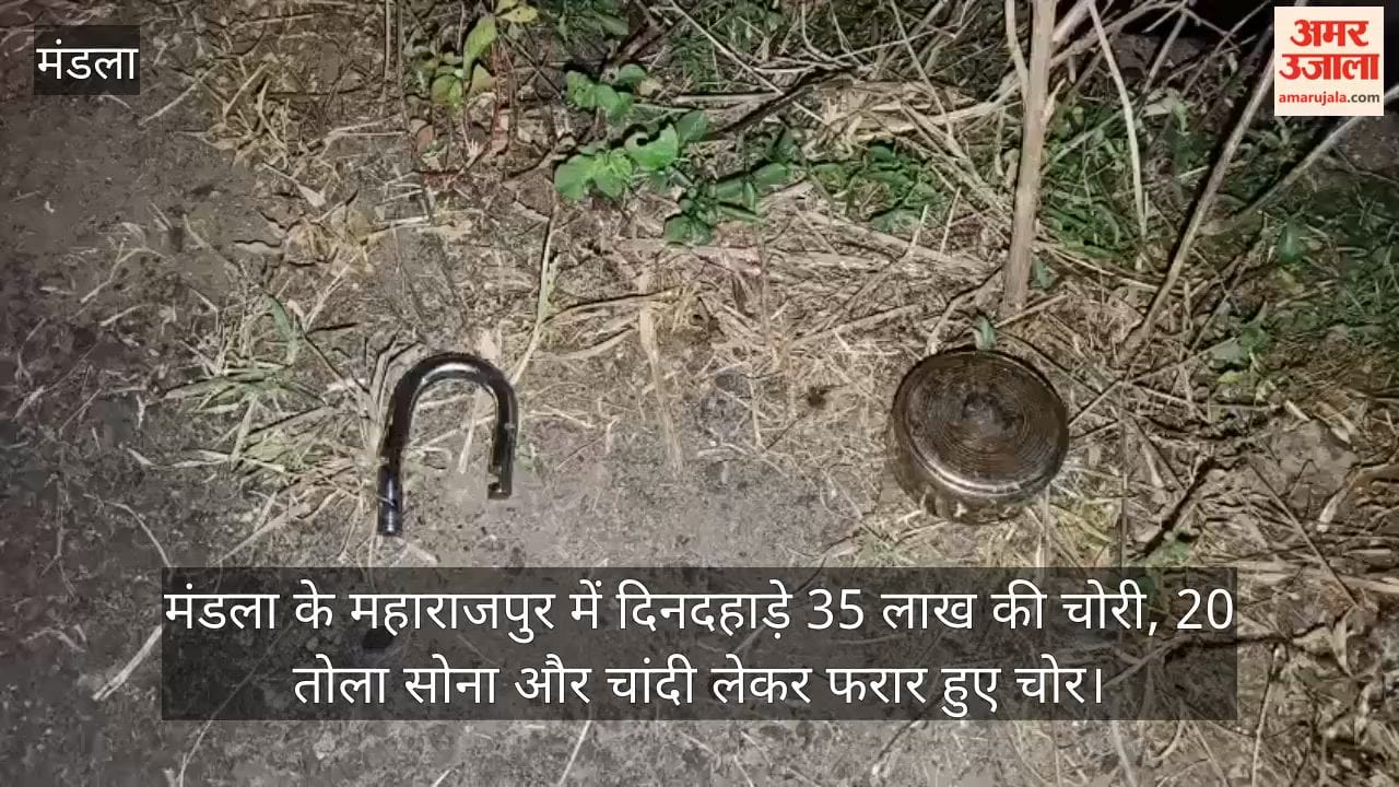 35 lakh rupees stolen in broad daylight in Mandla; thieves escaped with 20 tolas of gold and silver.