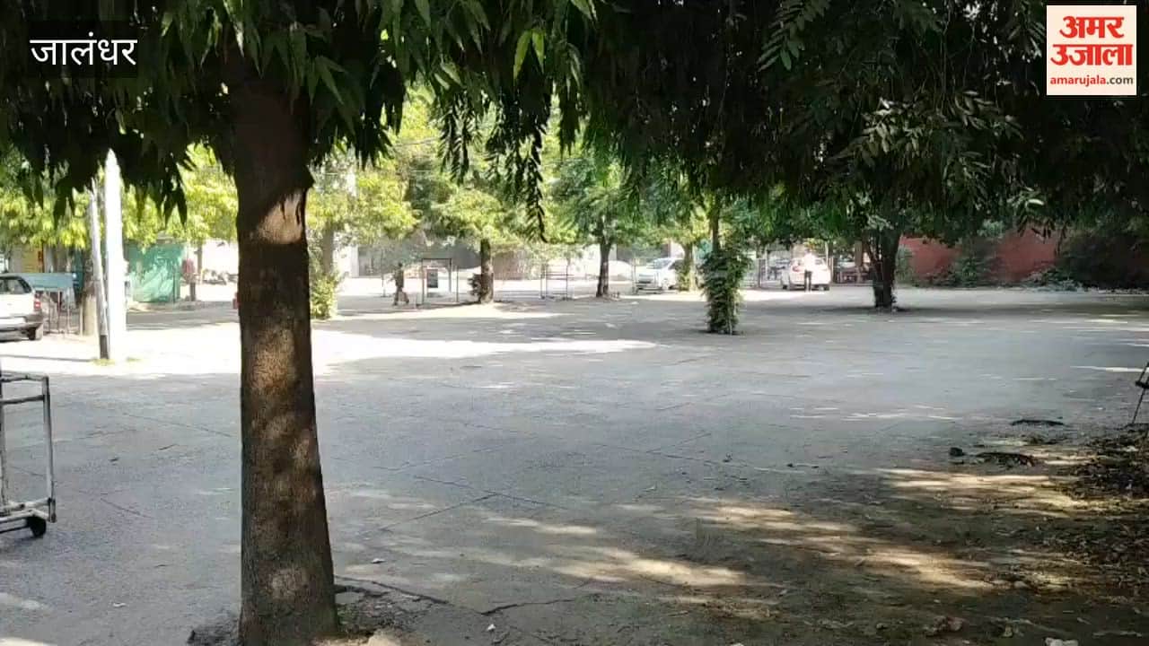 Two-day strike by employees and pensioners in Jalandhar; mass leave on October 21–22