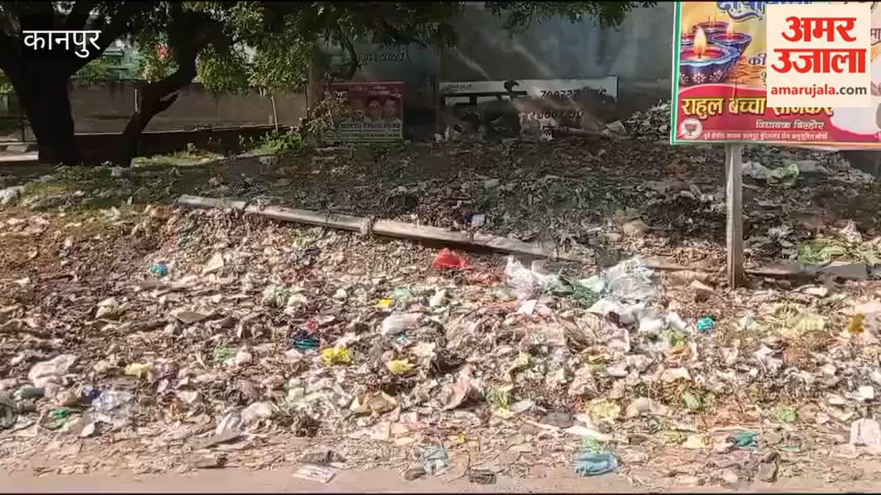Despite presence of an RRC in Mandhana, a pile of garbage has been accumulating on the road lane for a year