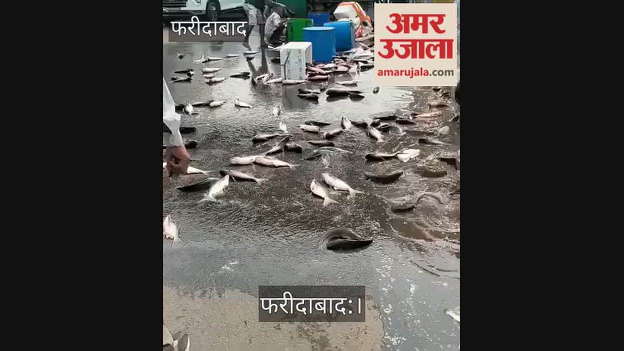 Faridabad Tempo loaded with fish overturns on Delhi-Mathura Road
