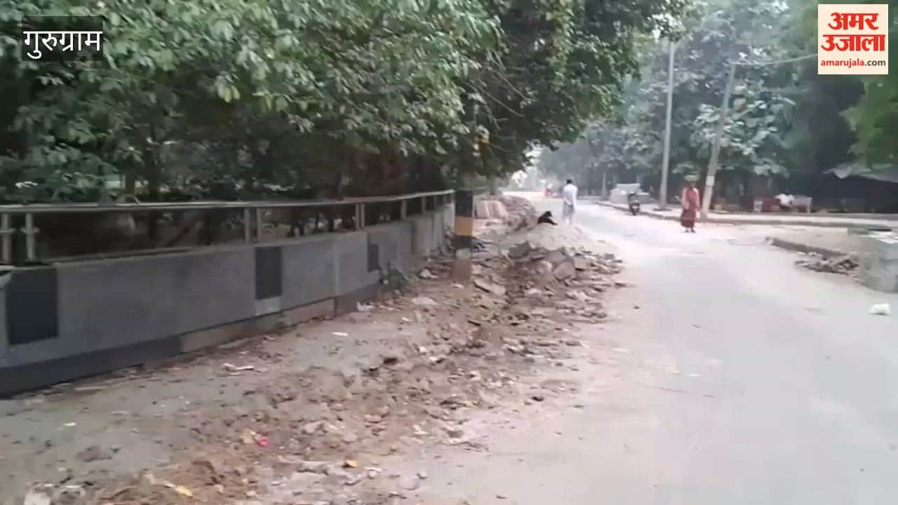 Gurugram Tank Park in Civil Lines to undergo beautification