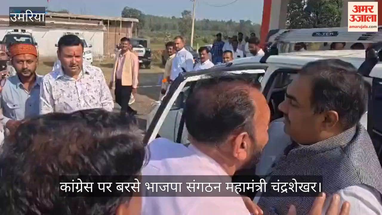 BJP Leader Chandrashekhar Targets Congress, Urges Workers to Strengthen Organisation