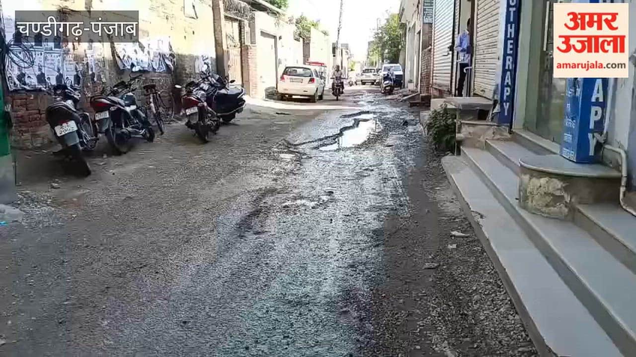 People are troubled by the dilapidated condition of the road on Ara Road in Moga.
