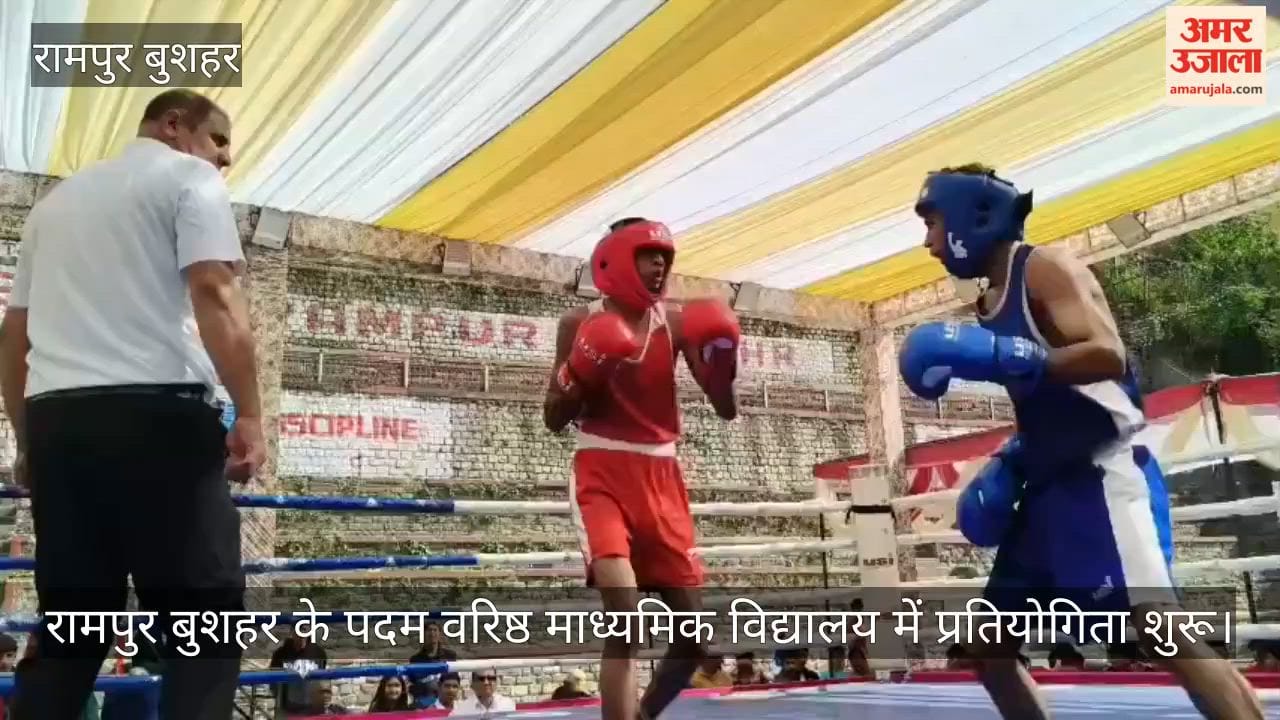 rampur bushahr boxing championship 300 boxers lavi fair