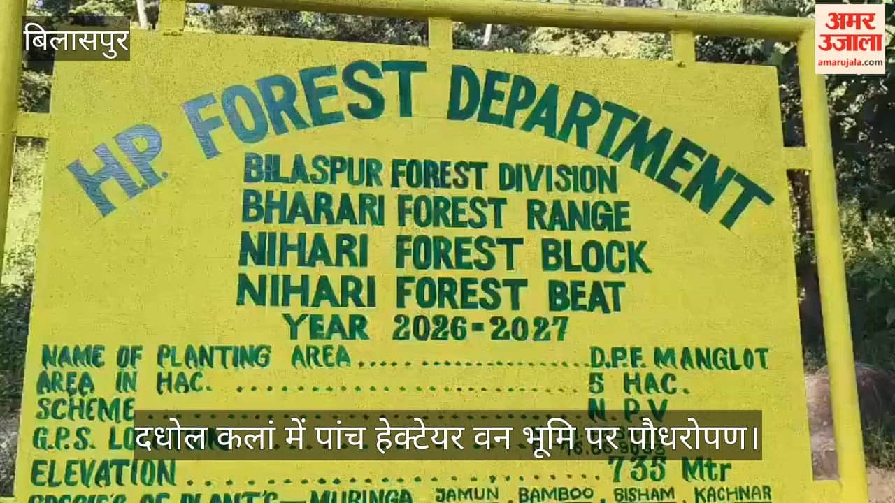 Bilaspur Moringa Plantation Forest Festival