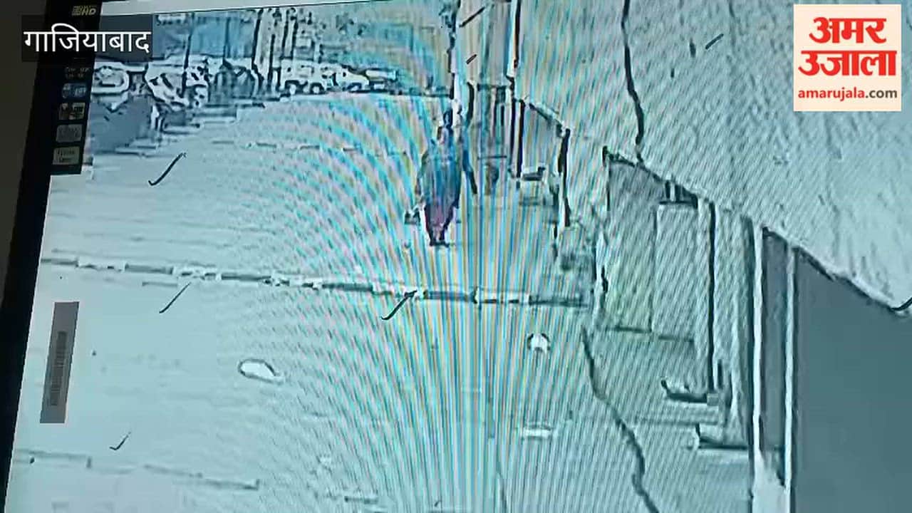 A stray dog attacked an elderly person in Ghaziabad’s Officer City