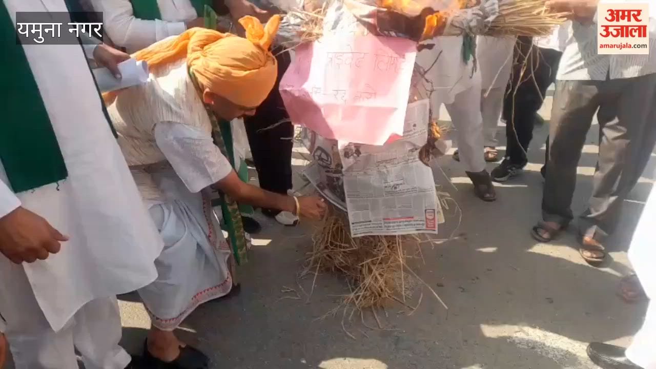 Farmers burned an effigy of the Chief Election Commissioner and also protested against the privatization of electricity.
