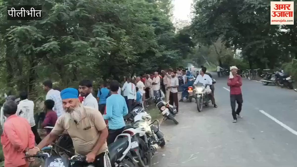 वीडियो: पीलीभीत में सड़क किनारे पेड़ पर दिखा विशालकाय अजगर, लोगों के उड़ गए होश