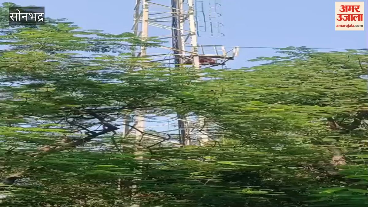 11 दिन बाद दोबारा मोबाइल टॉवर पर चढ़ी युवती, VIDEO