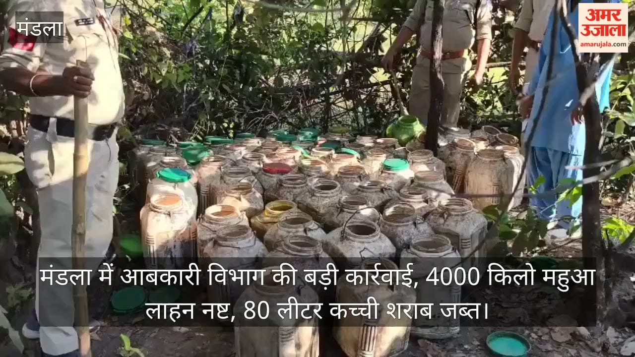 Mandla: Excise department takes major action, destroys 4,000 kg of mahua lahan, seizes 80 litres of raw liquor