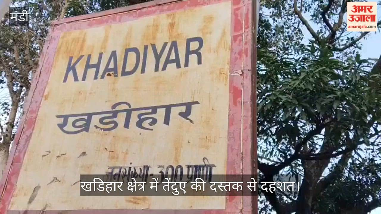 Leopard’s arrival in the Khadihar region sparks panic; its presence in residential areas leaves villagers sleepless.