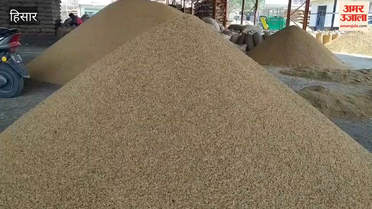 Farmers in Hansi grain market are troubled by the slow pace of paddy procurement and lifting.