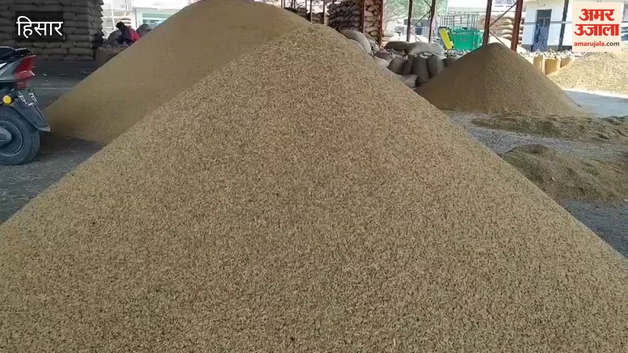 Farmers in Hansi grain market are troubled by the slow pace of paddy procurement and lifting.