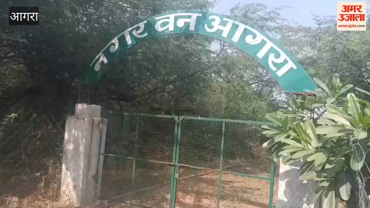 Agra to Get a 50-Hectare Urban Forest with Boating, Butterfly Park Open Gym and Yoga Zones