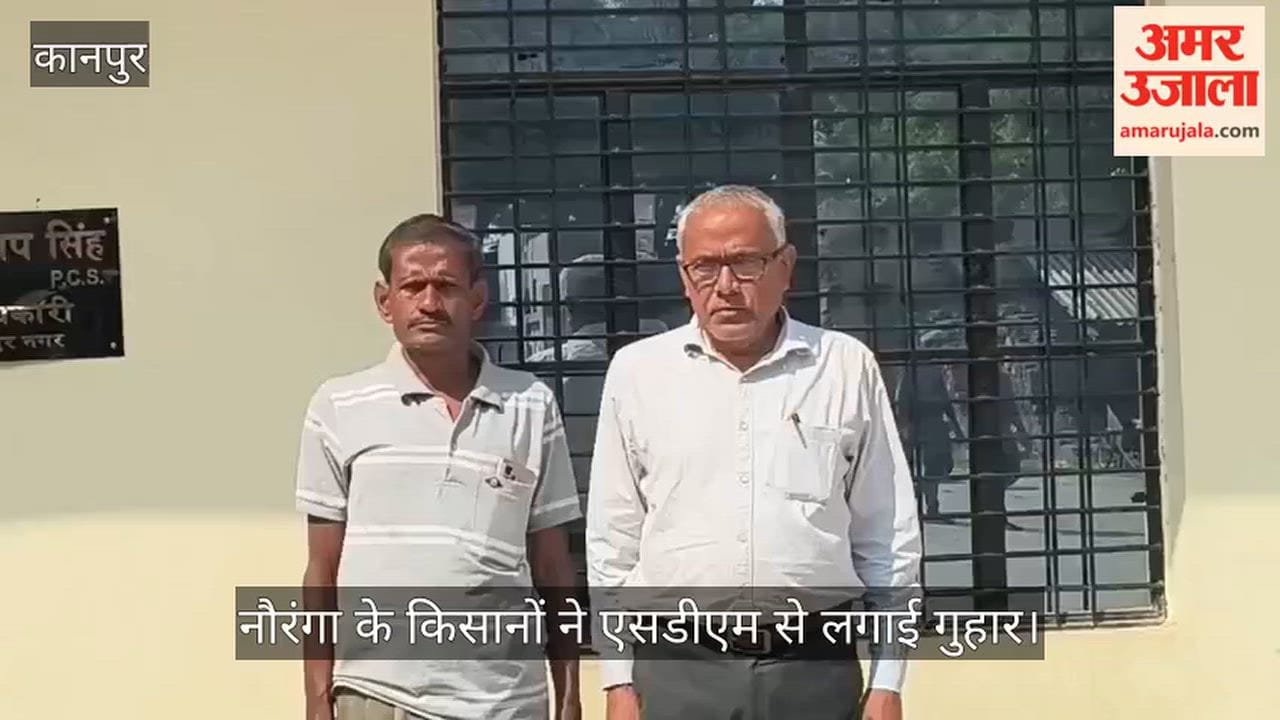 Kanpur Irregularities in digital crop survey in Ghatampur jowar crops in fields but recorded as paddy online