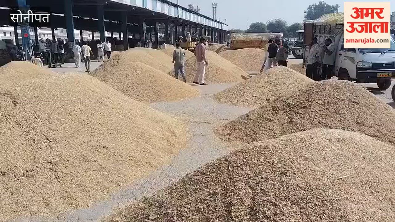 6.28 lakh quintals of paddy arrive at the new grain market; farmers dissatisfied with the procurement of PR-variety paddy.