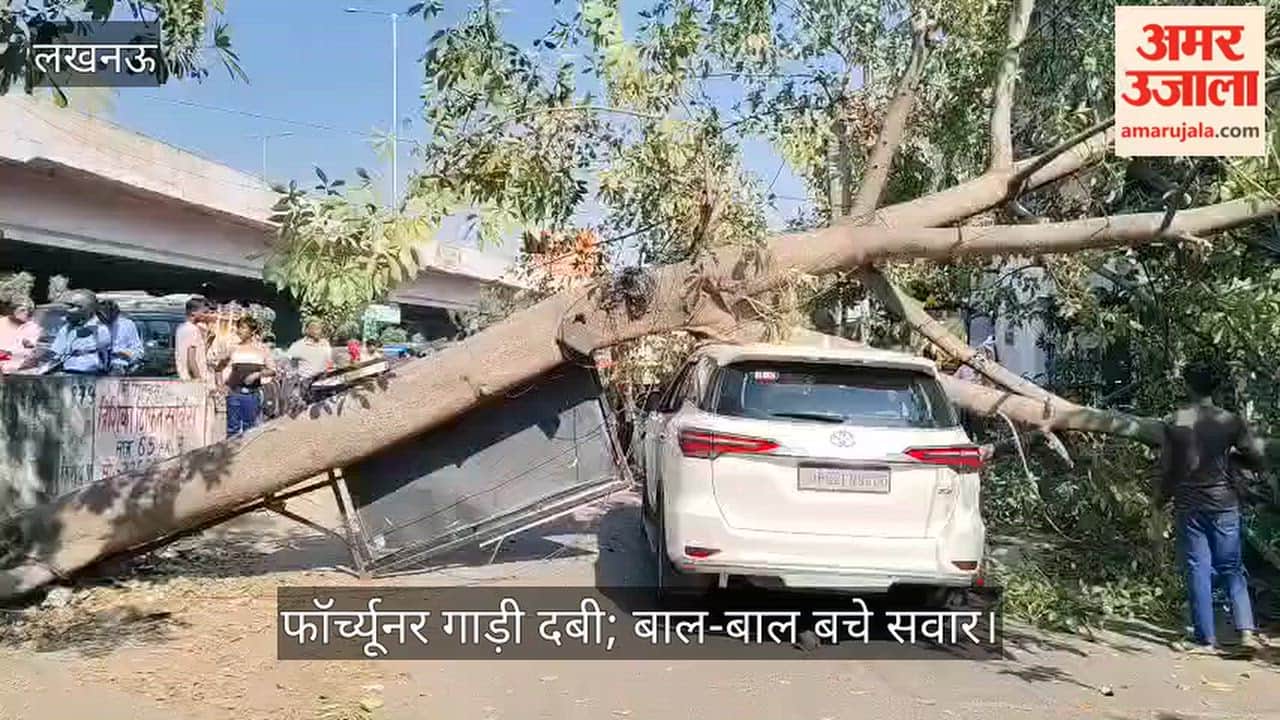 Video: शहीद पथ की सर्विस लेन पर गिरा विशाल पेड़, फॉर्च्यूनर गाड़ी दबी; बाल-बाल बचे सवार