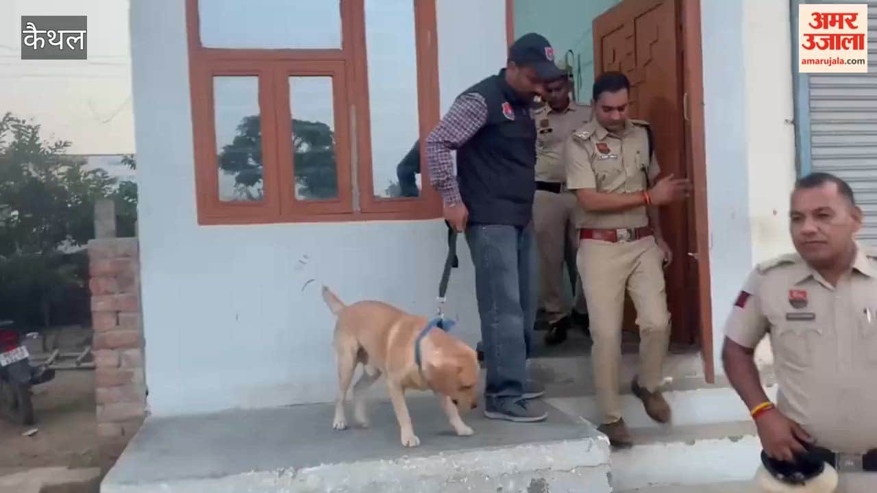 Intensive search operation at the hideouts of drug traffickers in Fatehpur Pundri, Kaithal