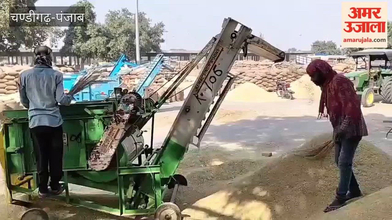 56,000 metric tonnes of paddy procured across 16 mandis in Kotkapura; arrivals decline due to rain, leaving farmers in rural mandis distressed