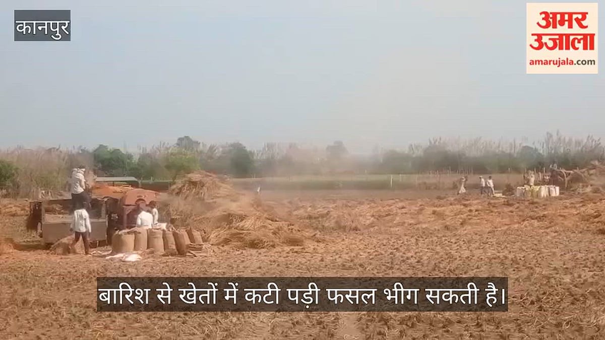कानपुर: मौसम की चेतावनी से किसानों की बढ़ी चिंता, धान की कटाई और बंधाई का काम तेज