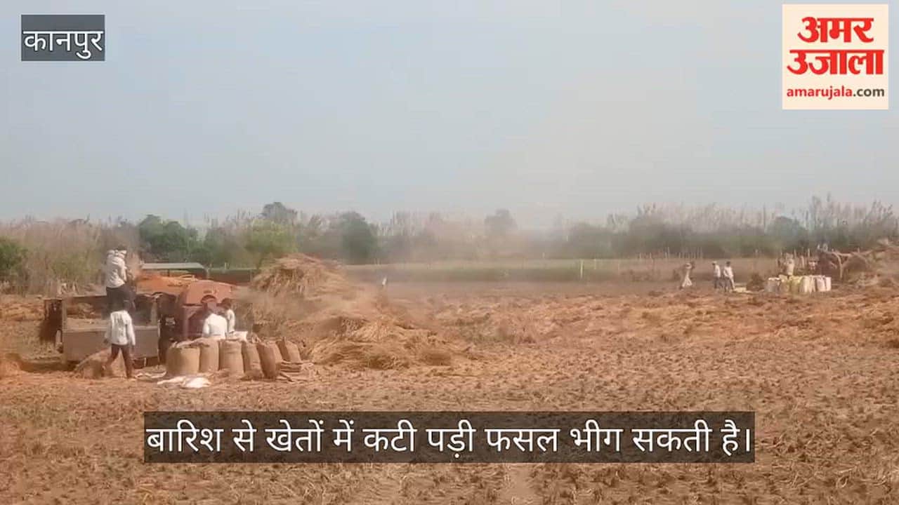 Kanpur Weather warning raises concerns among farmers paddy harvesting and bundling operations accelerated