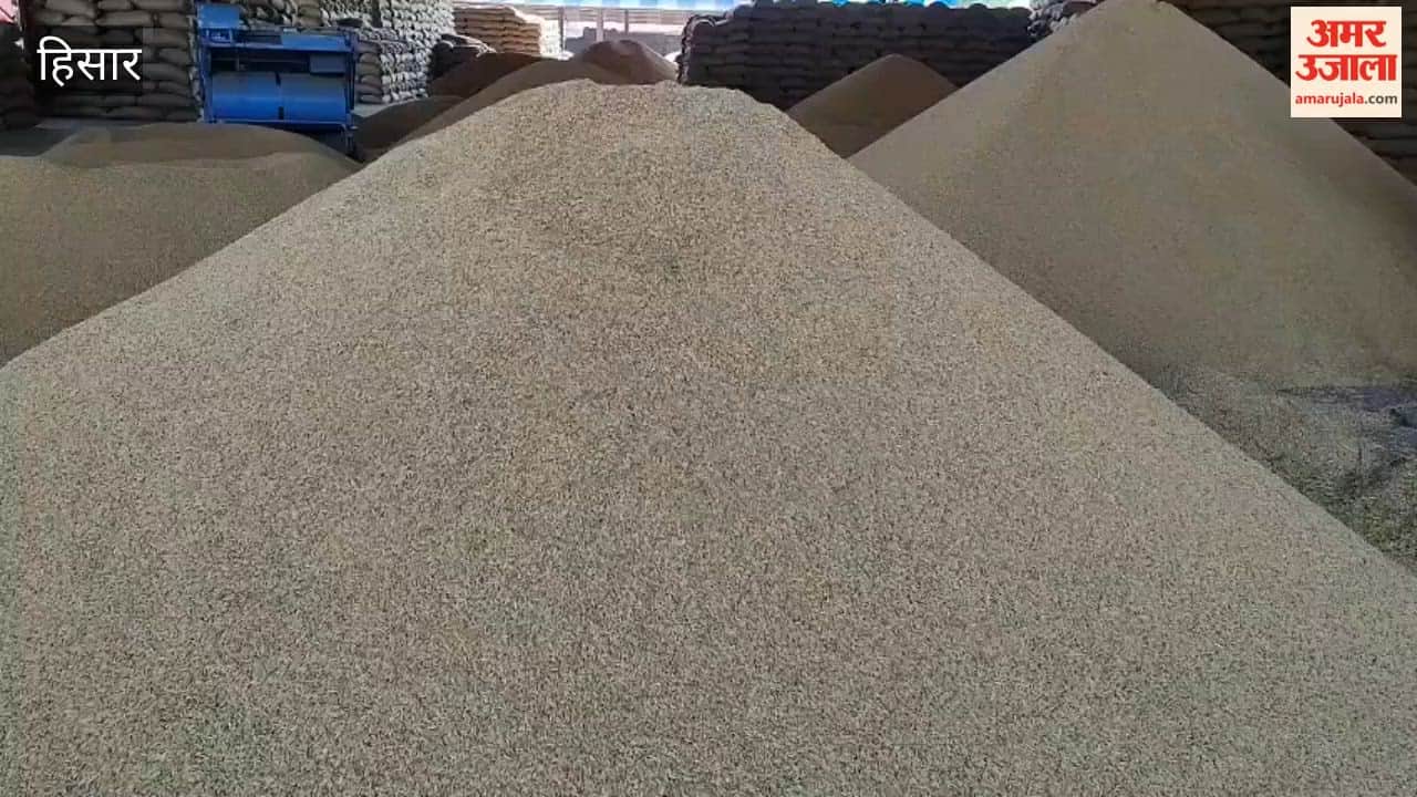 Paddy arrivals increase at Hansi grain market; farmers' concerns persist