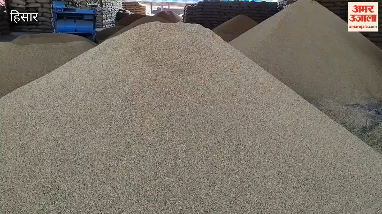 Paddy arrivals increase at Hansi grain market; farmers' concerns persist