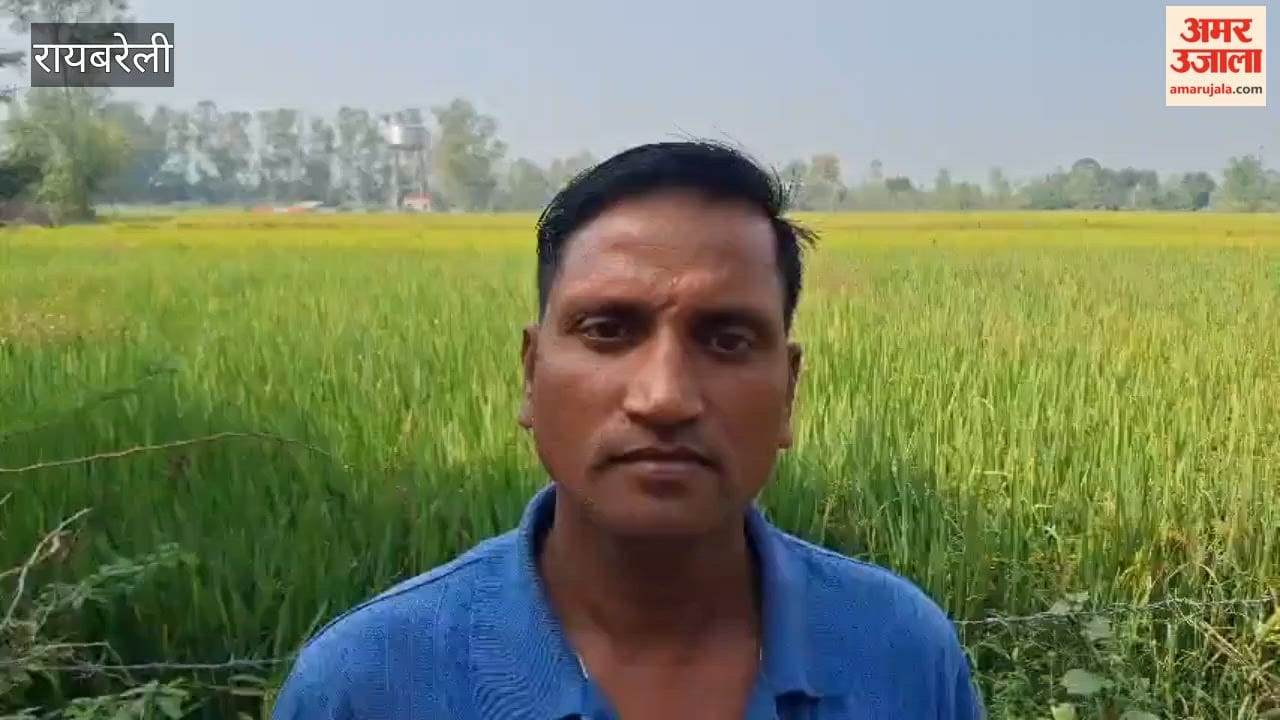 possibility of unseasonal rains has increased anxiety of farmers in Rae Bareli