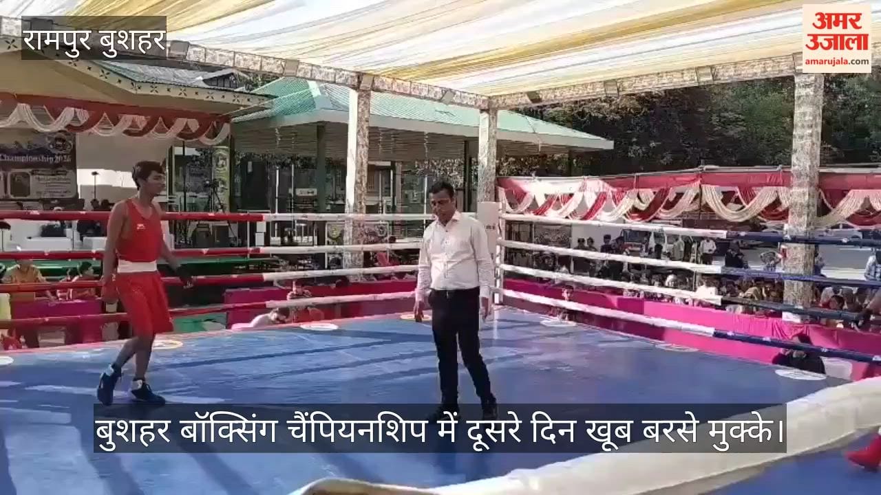 Video: Punches fly thick and fast on day two of the Bushehr Boxing Championship