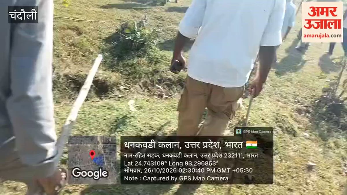 जंगल में हल चलाकर बना रहे थे खेत, रेंजर पहुंचे तो भागे अतिक्रमणकारी; VIDEO