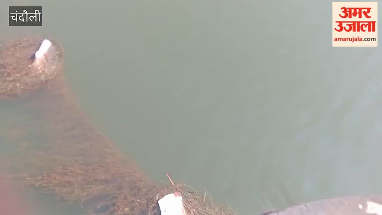 Cattle get trapped in fishing nets at Latifshah Dam; villagers carry out a rescue – VIDEO