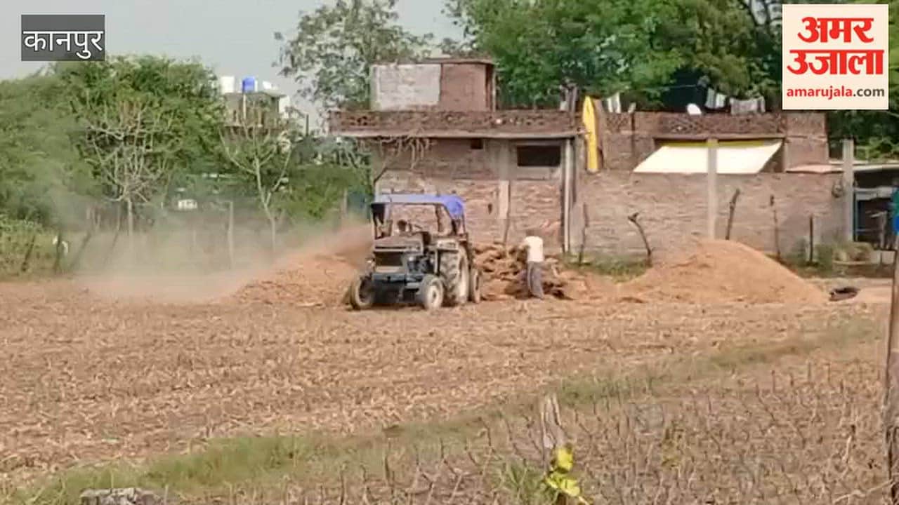 Kanpur: Paddy threshing begins; new rice to arrive in markets soon