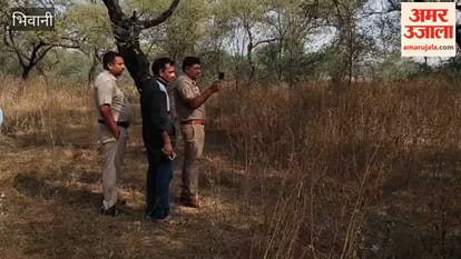 An elderly man died by hanging himself on Forest Department land in Loharu, Bhiwani; police have launched an investigation.