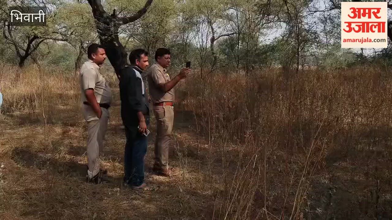 An elderly man died by hanging himself on Forest Department land in Loharu, Bhiwani; police have launched an investigation.