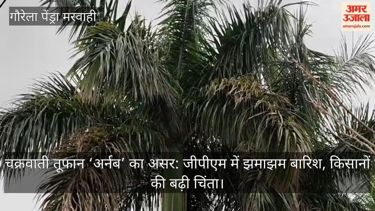 The impact of cyclonic storm ‘Arnab’ is being felt. Signs of it began to appear on Tuesday evening, and follow