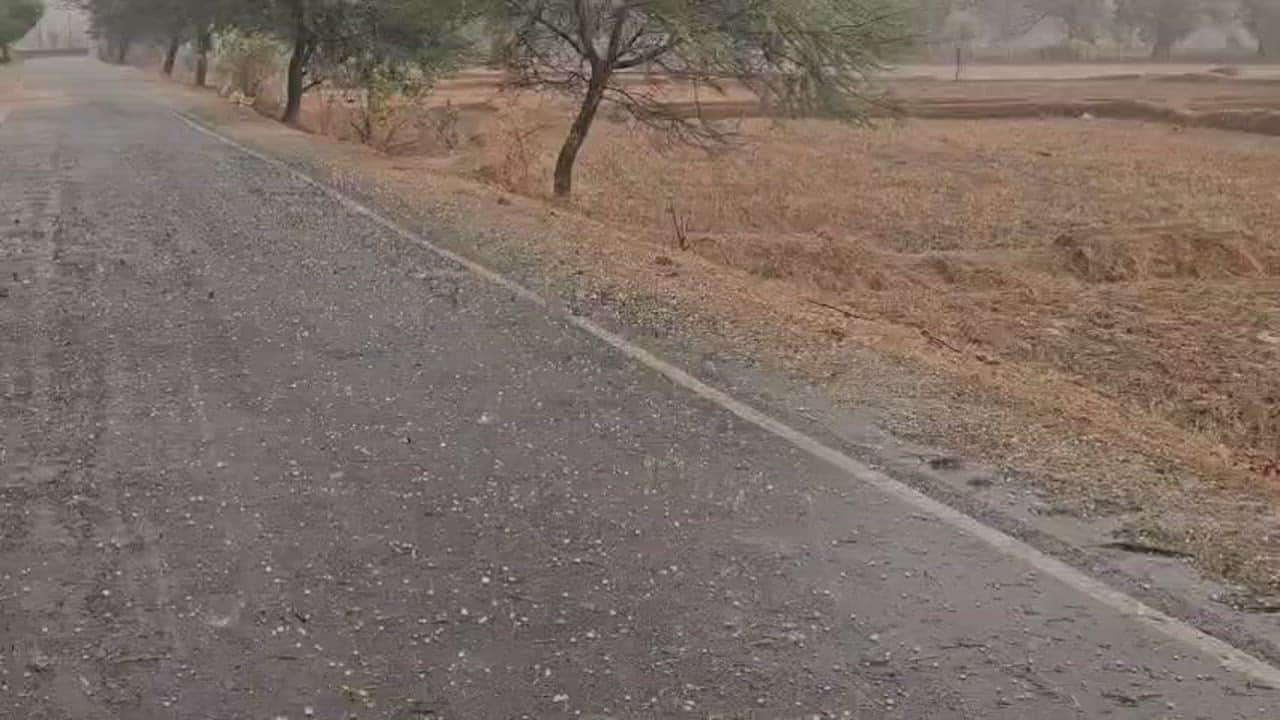 GPM Thousands of quintals of paddy soaked at paddy procurement center heavy rains and hailstorms