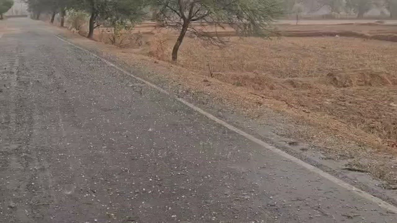 GPM Thousands of quintals of paddy soaked at paddy procurement center heavy rains and hailstorms
