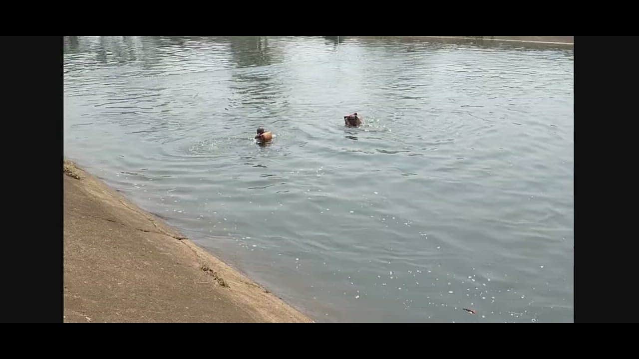 Guests could not control themselves in the canal, three were swept away and the body of one was recovered.